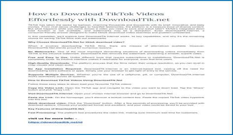 How To Download TikTok Videos Effortlessly